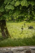 Oplev historien ved Tvis Kloster med Museerne i Holstebro denne sommer