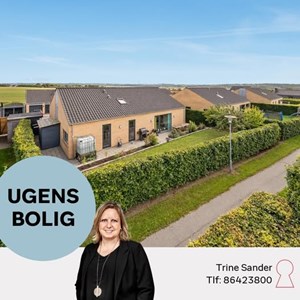 Opslagsbillede