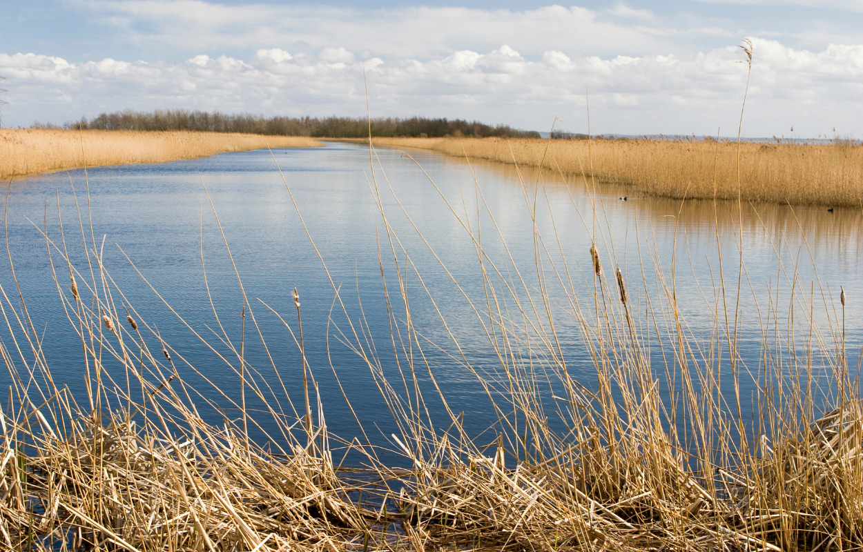 Mere tryghed på fødestuerne i Gødstrup