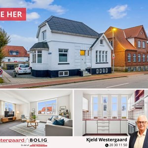 Opslagsbillede