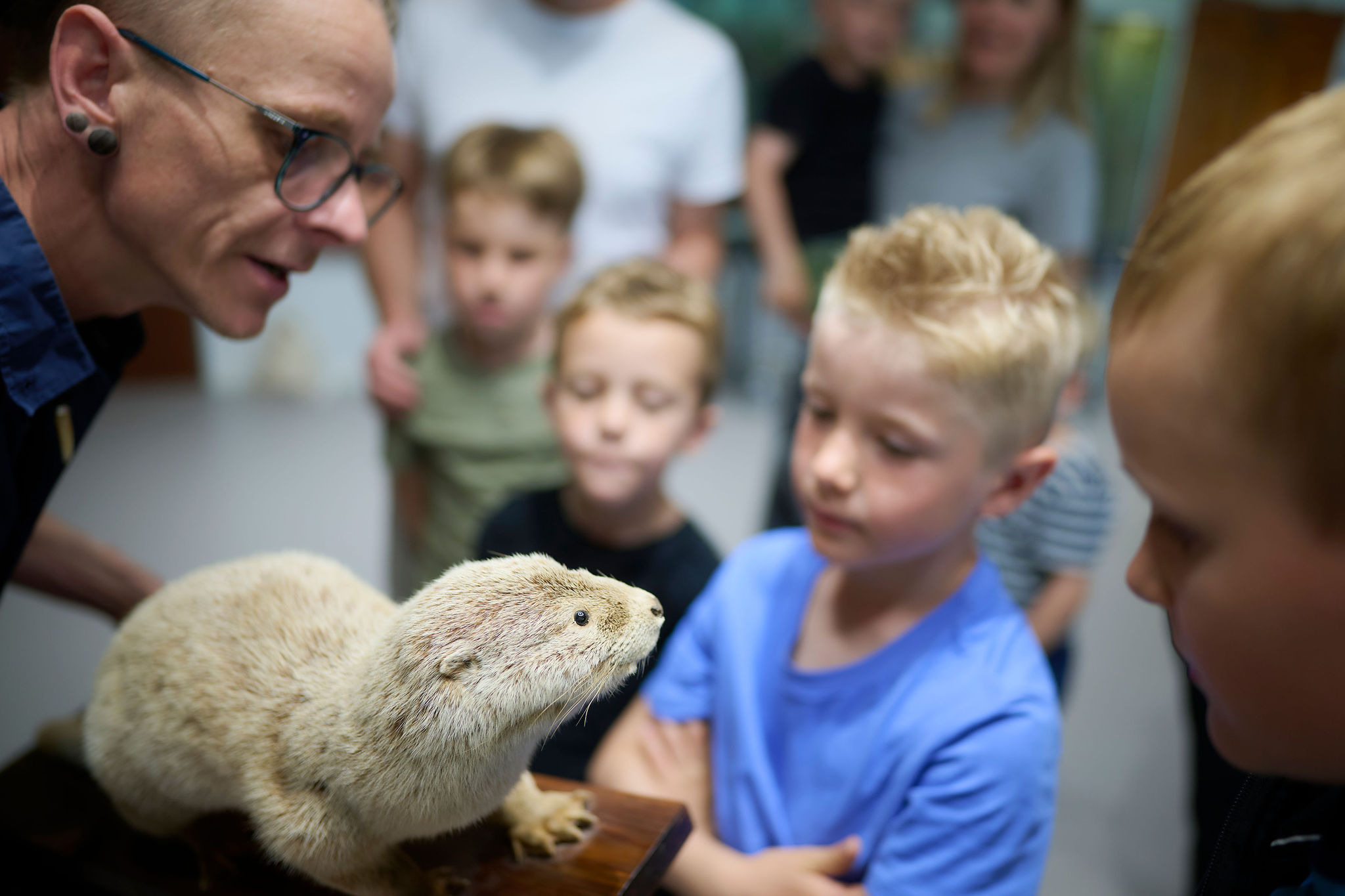 Oplev naturens vidundere med Naturama i Svendborg