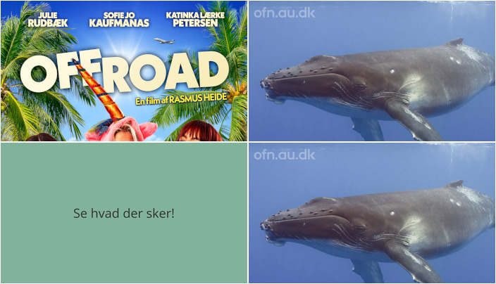 Oplev spændende arrangementer i Karup: Film, foredrag og kultur