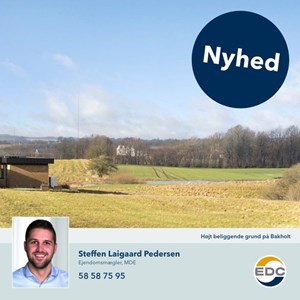 Opslagsbillede