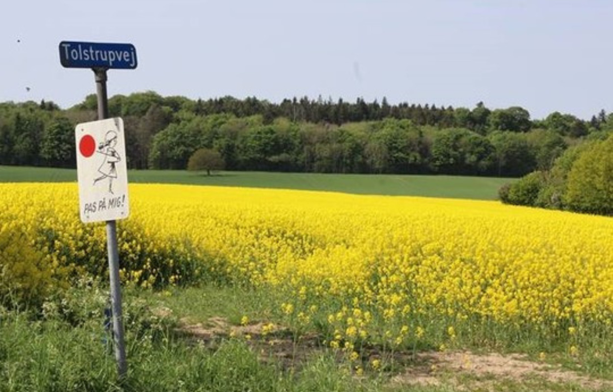 Stort skovprojekt, der skal beskytte horsensianernes drikkevand, er sendt i høring