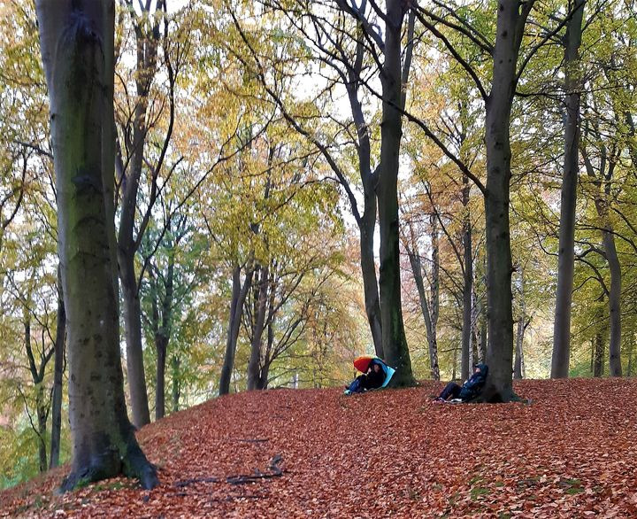 Opslagstavlen: Nyeste opdateringer fra Hammel