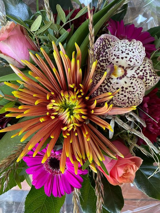 Hold trit med lokalområdet: Nyt fra Roslev