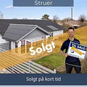 Opslagsbillede