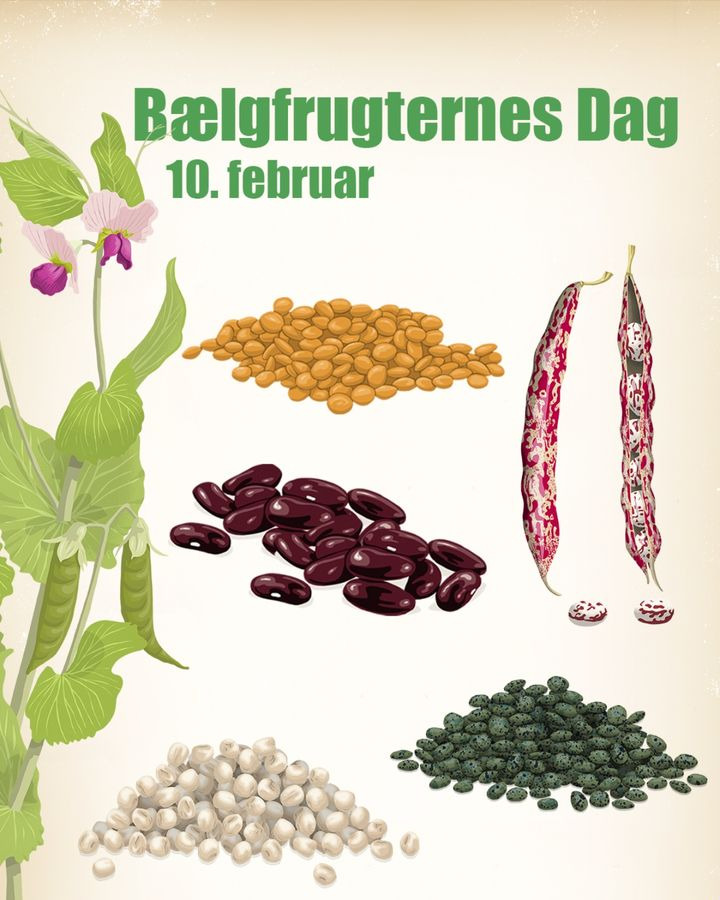 Fejr 'Bælgfrugternes Dag' med Rema1000 Gærumsvej