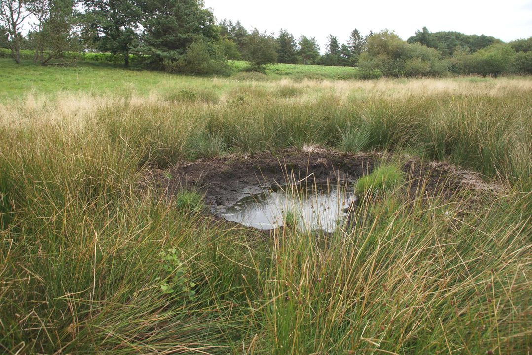 Opdatér dig her: Det nyeste fra Tjele