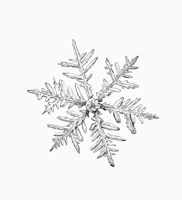 Da Angelino Pizza og Pasta tager på ferie med sidste åbning 19. december