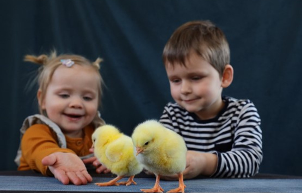 Kom til påskesjov i Økolariet i Vejle 