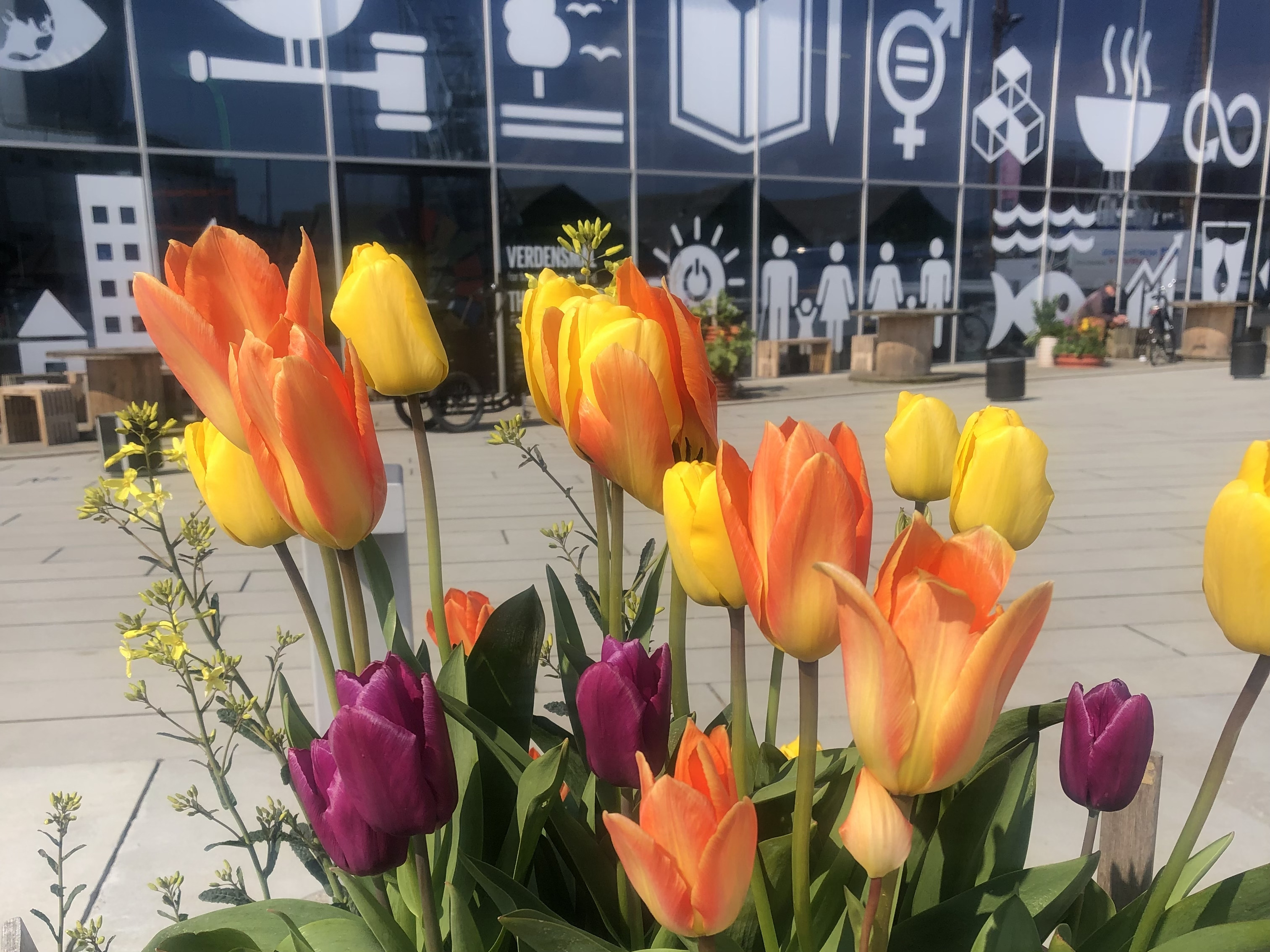 Oplev mangfoldige aktiviteter på Dokk1 i Aarhus