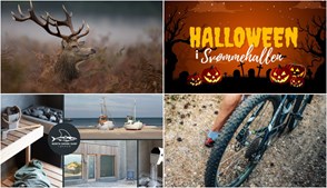 Weekend i Løkken: Kulinariske oplevelser, Halloween-sjov og naturskønne aktiviteter