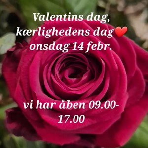 Opslagsbillede