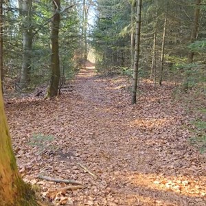 Opslagsbillede