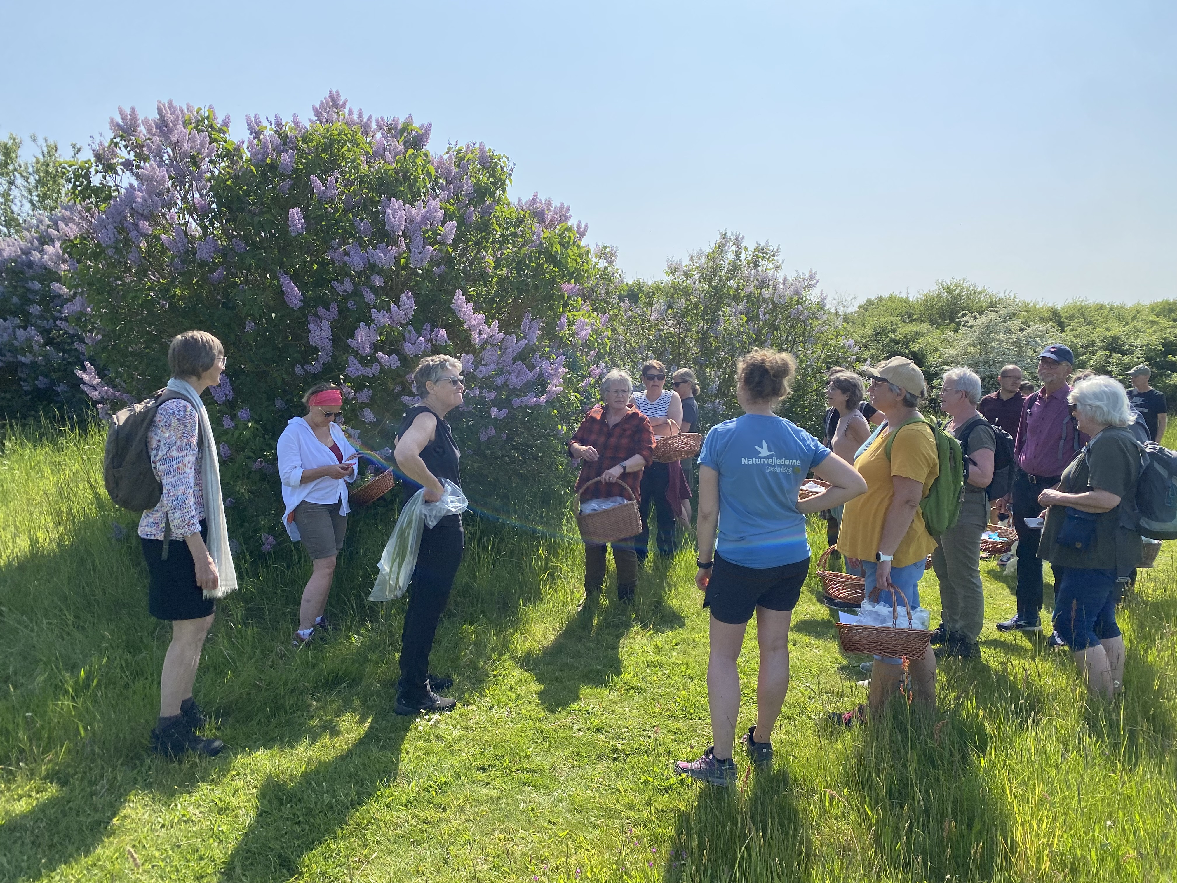 Udforsk naturens spisekammer ved Kær