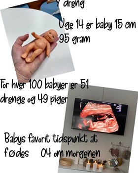 Opslagsbillede
