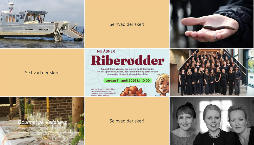 Oplev Ribe i Weekenden: Fra Gourmet Naturoplevelser til Swingende Koncerter