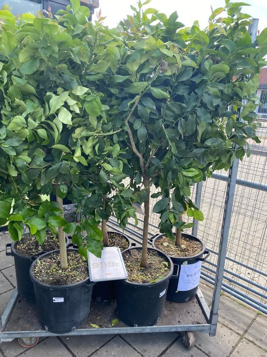 Hold trit med lokalområdet: Nyt fra Viby J