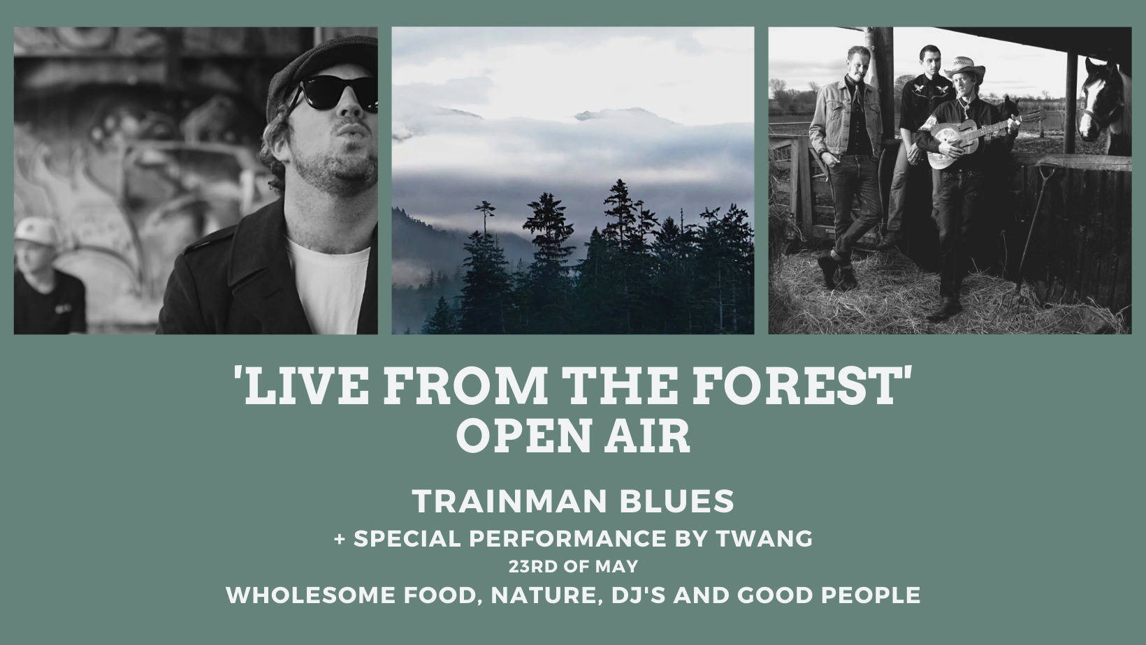 Live from the forest