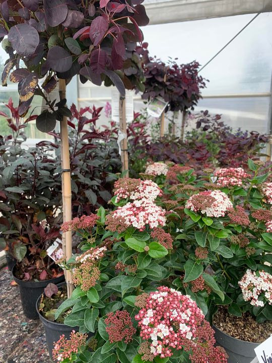 Opdatér dig her: Det nyeste fra Brønderslev