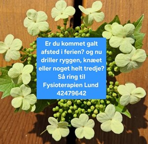 opslagsbillede