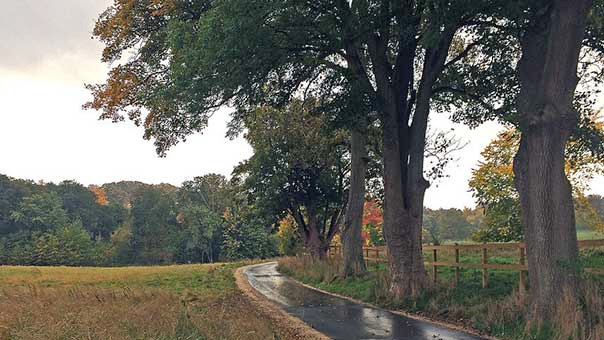 Oplev den danske natur gennem sang og musik