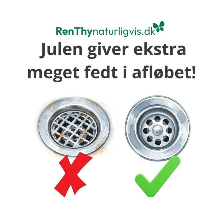 Sådan undgår du tilstopninger i julen med RenThy Naturligvis