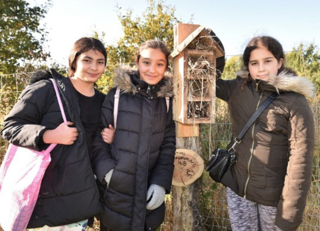 Motionsløb med indvielse af insekthoteller