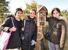 Motionsløb med indvielse af insekthoteller