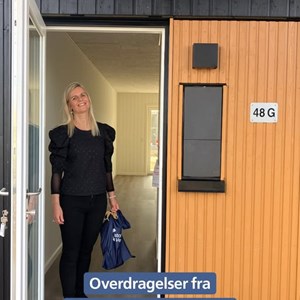 Opslagsbillede