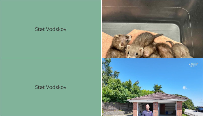 Nyt fra Vodskov Dyreklinik v/Thorstein Arnason og Mæglerhuset