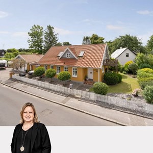 Opslagsbillede