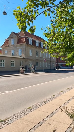opslagsbillede