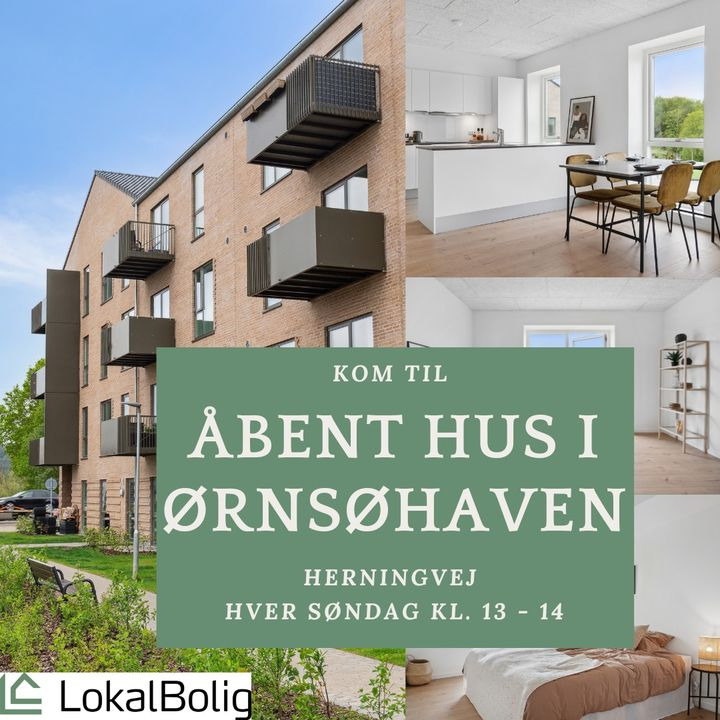 Opslagstavlen: Nyeste opdateringer fra Silkeborg