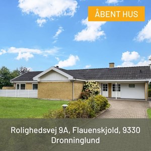 Opslagsbillede