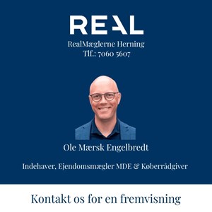 opslagsbillede
