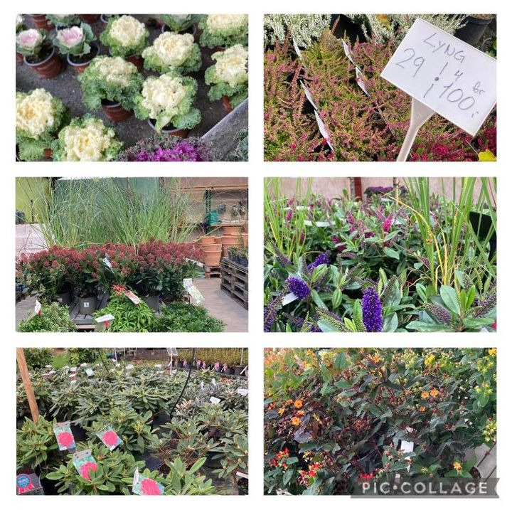 Opslagstavlen: Nyeste opdateringer fra Hobro