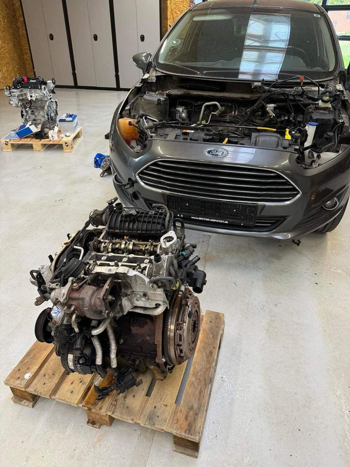 En finger på pulsen i Hammel