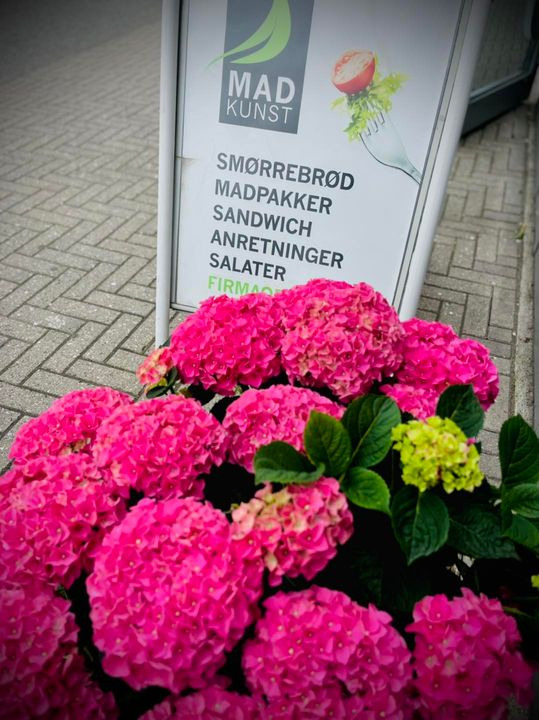 Hold dig ajour med dagens opdateringer fra Vejle