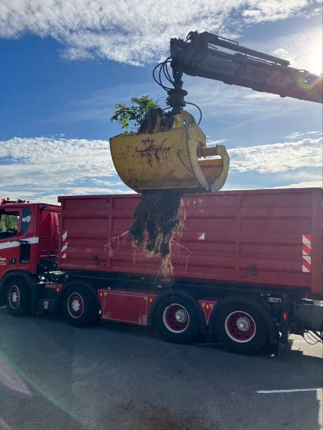 Opdatér dig her: Det nyeste fra Hjørring