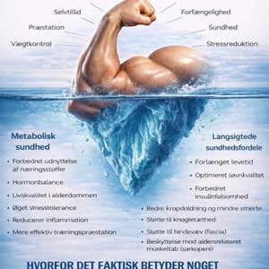Opslagsbillede