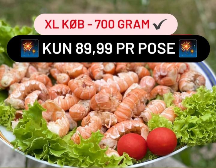 Opdatér dig her: Det nyeste fra Odder