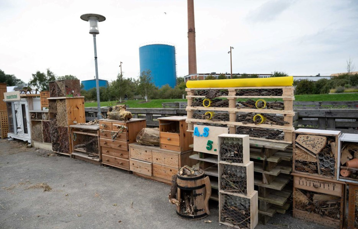 Danmarks største insekthotel: Skiveegnens børn og Læringsambassaden har slået alle rekorder