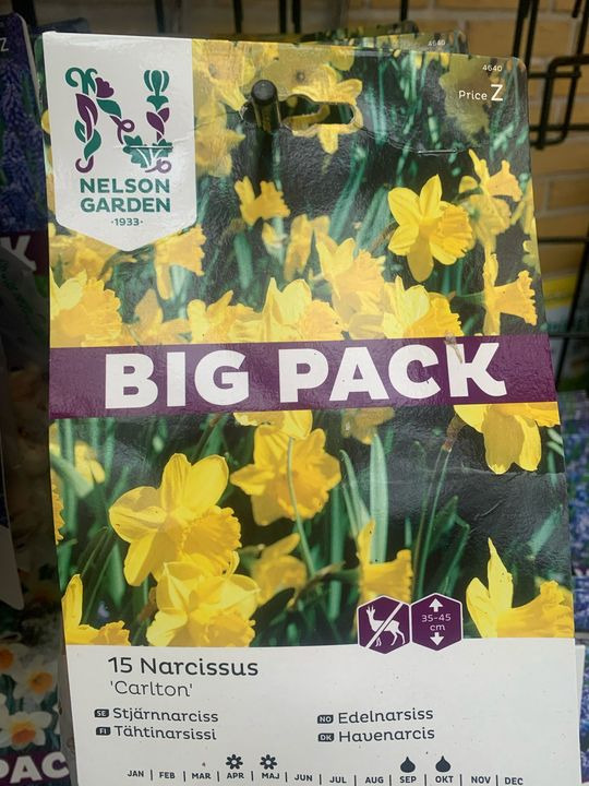 Se dagens updates fra Brønderslev her