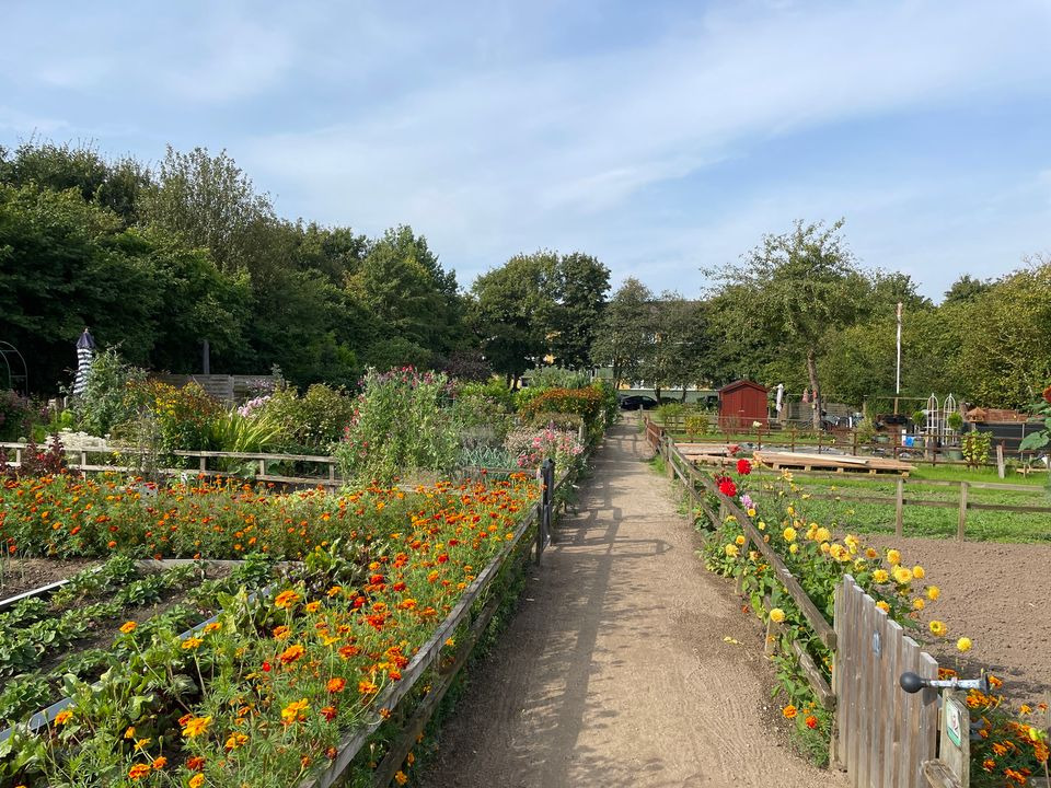 RandersBolig fremhæver Jennumparkens hyggelige haveforening