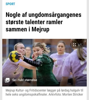 Opslagsbillede
