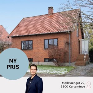 Opslagsbillede