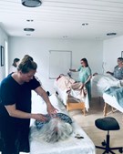 Healing I & II kursus i Fredericia