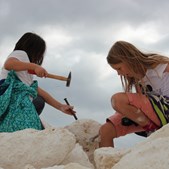 Tag på fossiljagt i Faxe Kalkbrud